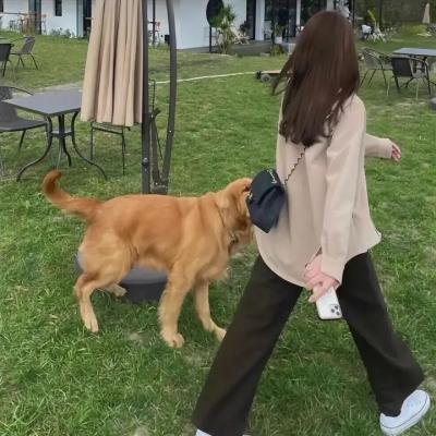 堕落之堡